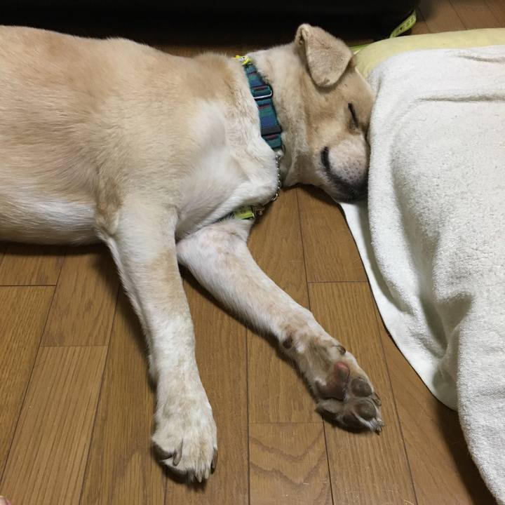 D14f21e0 2f0c 43e0 a9c9 b913d9520eb5 1534219187550