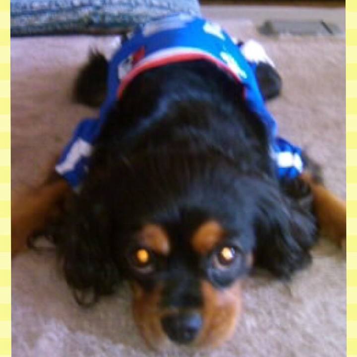 D14f4490 06a2 4b21 8f06 e534ca135247 1510319256035