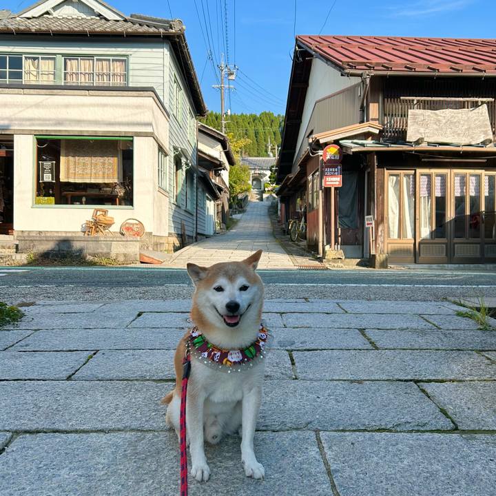 D14f4f83 2eda 412e b2fa d982d642f1b3 1728899604933