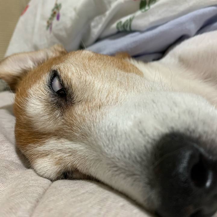 D14f6527 b409 417a 978c f3649e2e0418 1584179537874