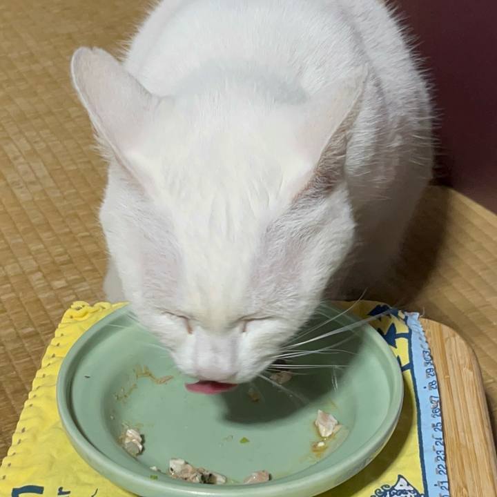 D14f94c6 0781 4b46 9fd1 01e3aba34971 1772277394922