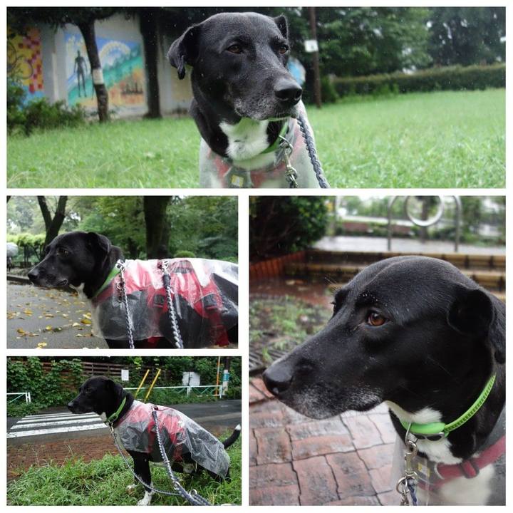 D14f9670 283a 48ac 9fb8 aca6b91461ca 1630625688163