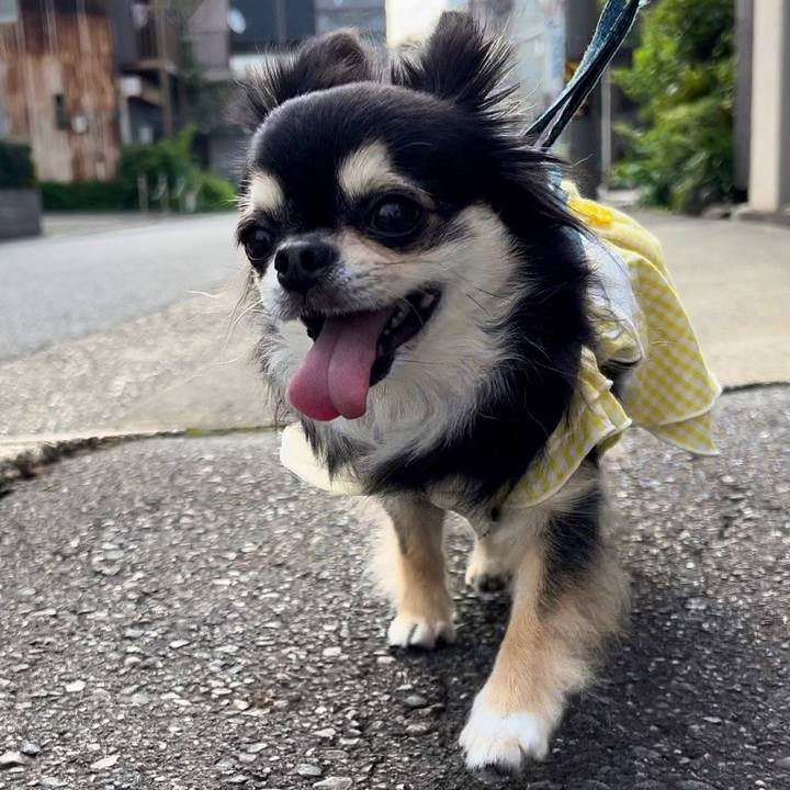 D14f98c0 7757 4713 9c3e 255491ecc294 1688945930907