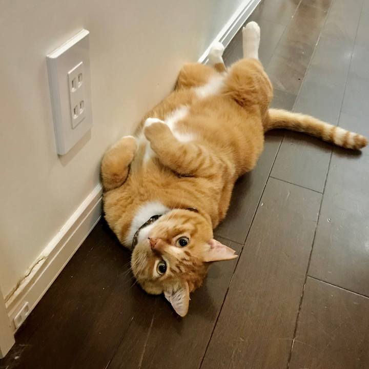 D14fa885 8049 4532 a7fa 060c9d4d5d86 1664626074943