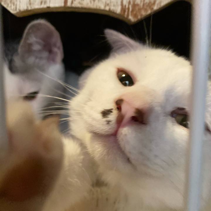 D14fc8e6 d842 46e8 a149 10f3d2805e2d 1701910507654