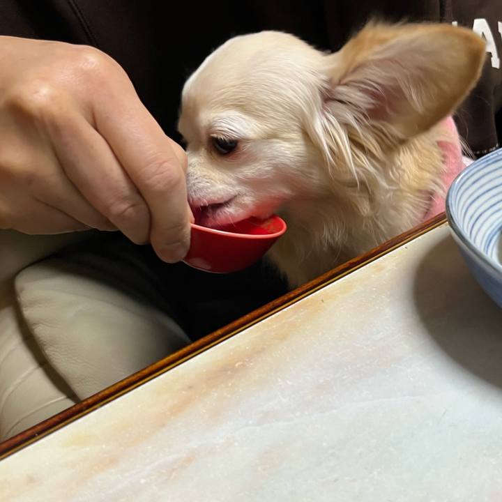 D14ff7fd 6dbf 4651 9197 4b0a3956a0ba 1736169820026