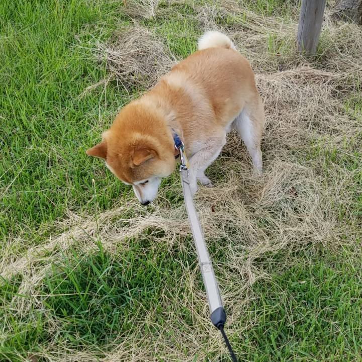 D14ff9a3 84bc 47e6 943c 83ca309d07f2 1562412936718