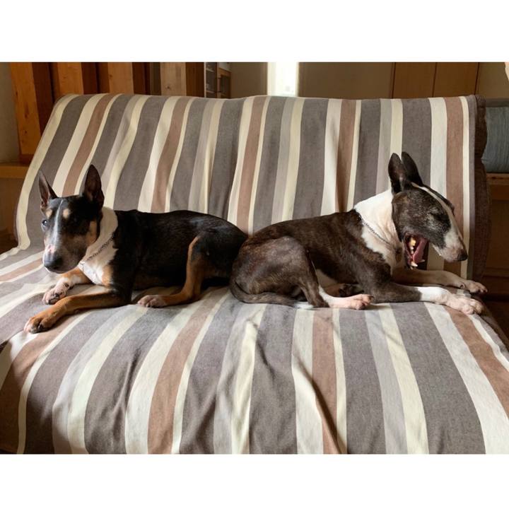 D1500c8b 9a54 471e 862d 22b636588427 1593322364804