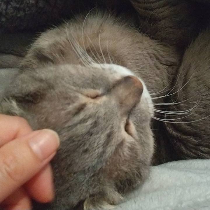 D15027f2 41e2 41dc 81e4 91b37fd94a2d 1683669577926