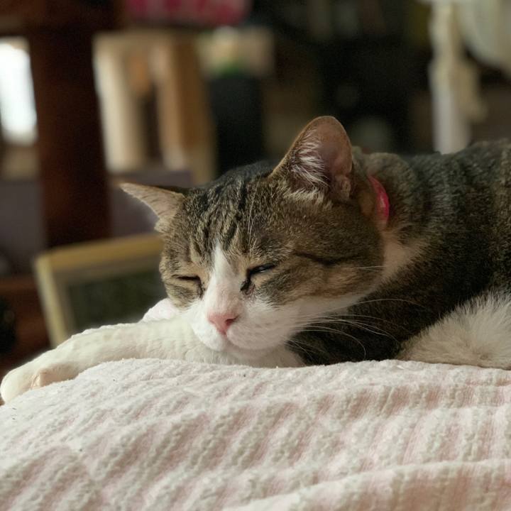 D1504175 7206 4eb9 9dca 8fa384130d24 1635807462290