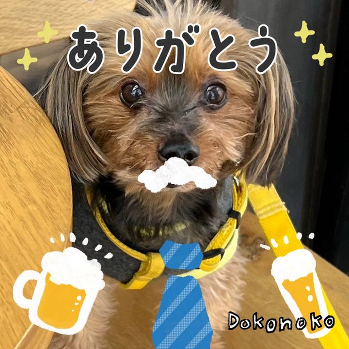 D1504356 ad33 4731 8487 a4cf6ab1b84c 1717553956769