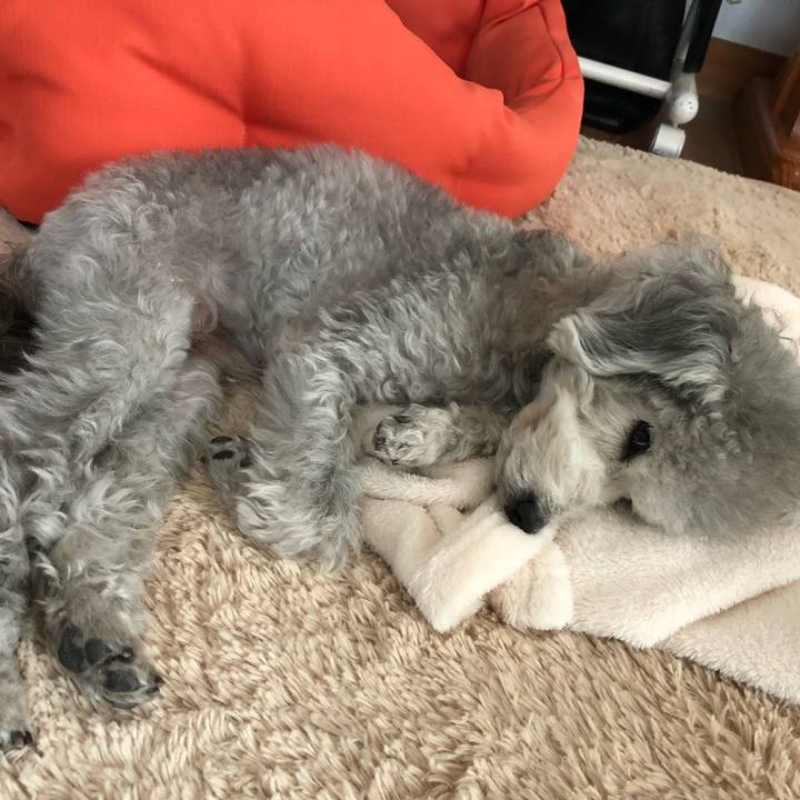 D1509ebd 7dd1 4394 947c a83e83177cd3 1548488135842