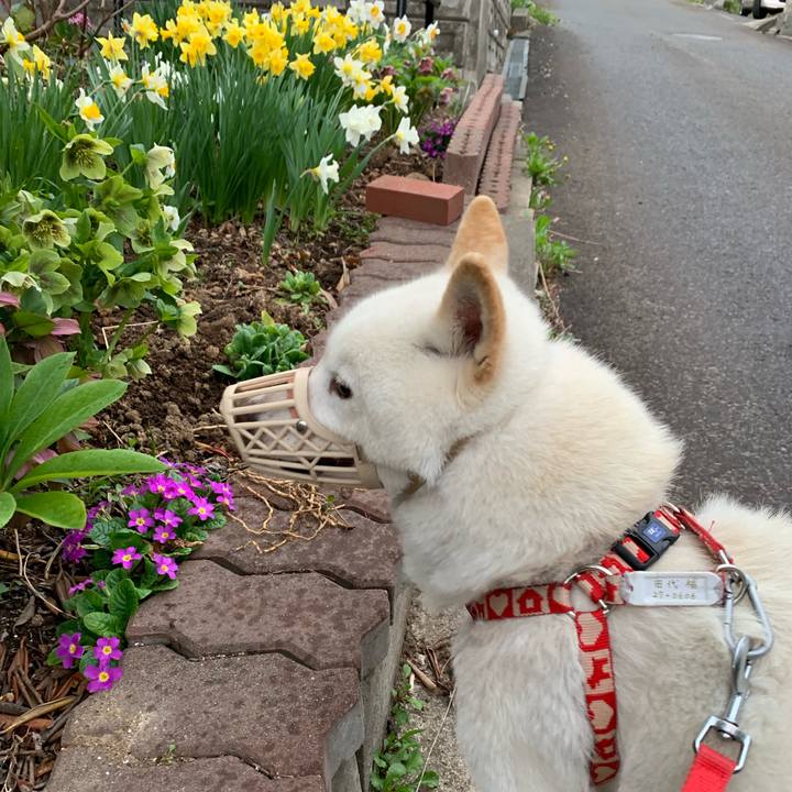 D150b7e7 1cb0 4254 a22a bb7739fedacb 1557471433168