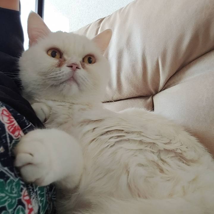 D150e462 2216 4a0b b678 2e82c4b86fec 1714278050977