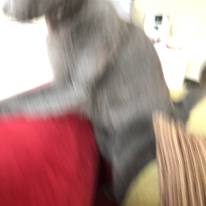 D15118c0 9c2e 4fa4 8c07 2c7f54b76e44 1580090538041