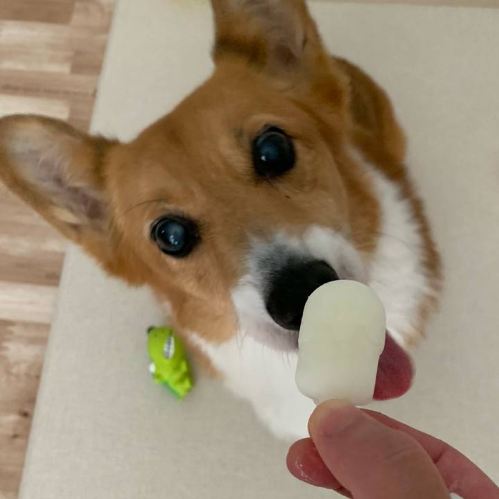 D1514dfa 6018 41f8 bf45 8f63be988ff8 1718158389412