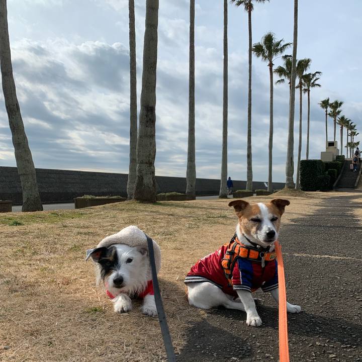 D151632b deb8 4978 92d0 c29e30b253f3 1643419298232