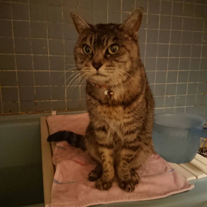 D1517eba 3ce2 4951 a91d f764c66c54dc 1578476857199