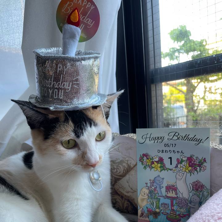 D15181ab 81a9 4657 a704 c304b4b20d5d 1684289177719