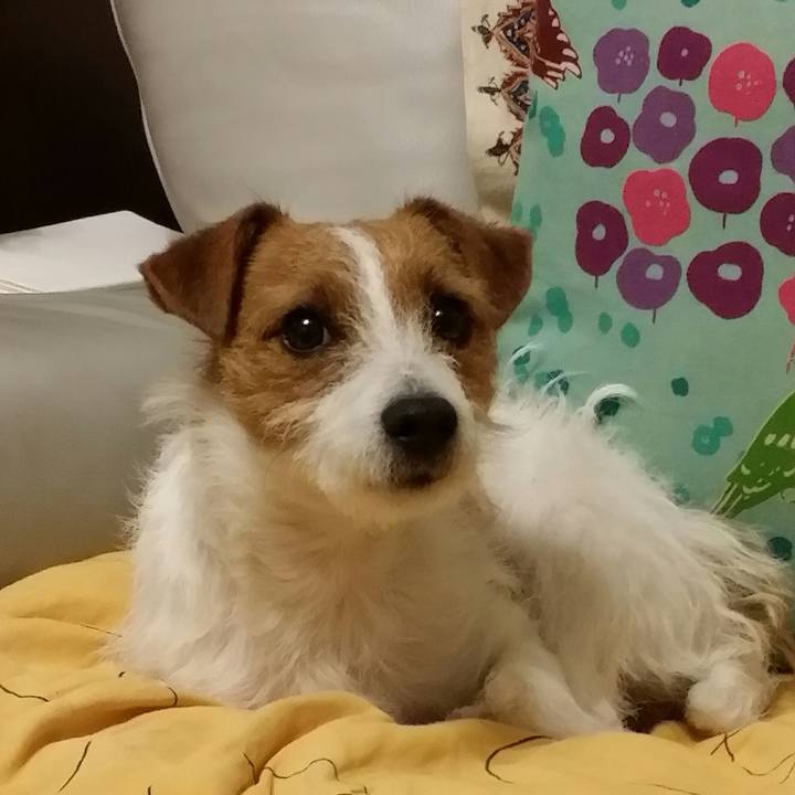 D151b7cf ef5d 4ff7 913f 60421ed1cf6f 1513028884070