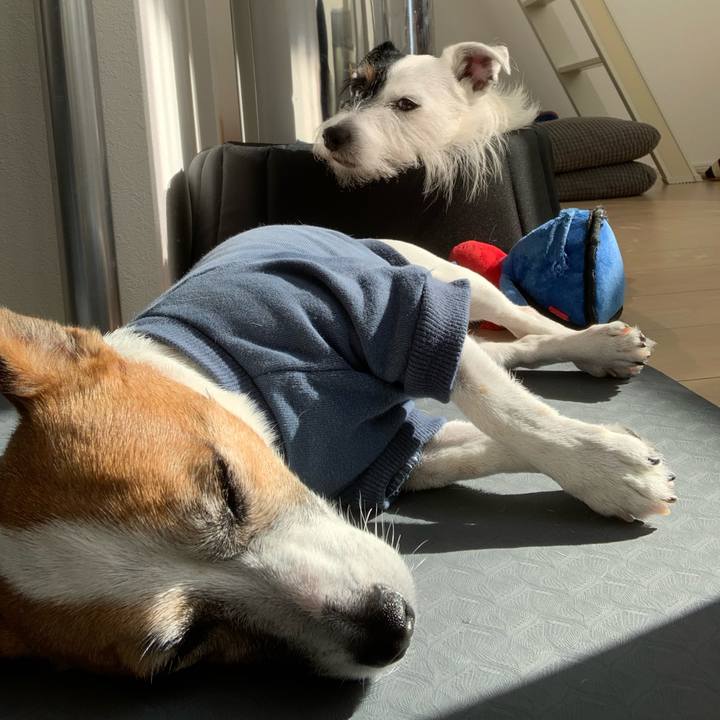 D151c391 fd42 46b3 a3b4 72da5cb5d06c 1574216056618