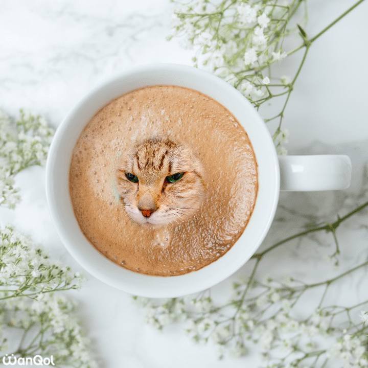 D1526daf e17f 4c40 8206 efeee36058f7 1640749773871