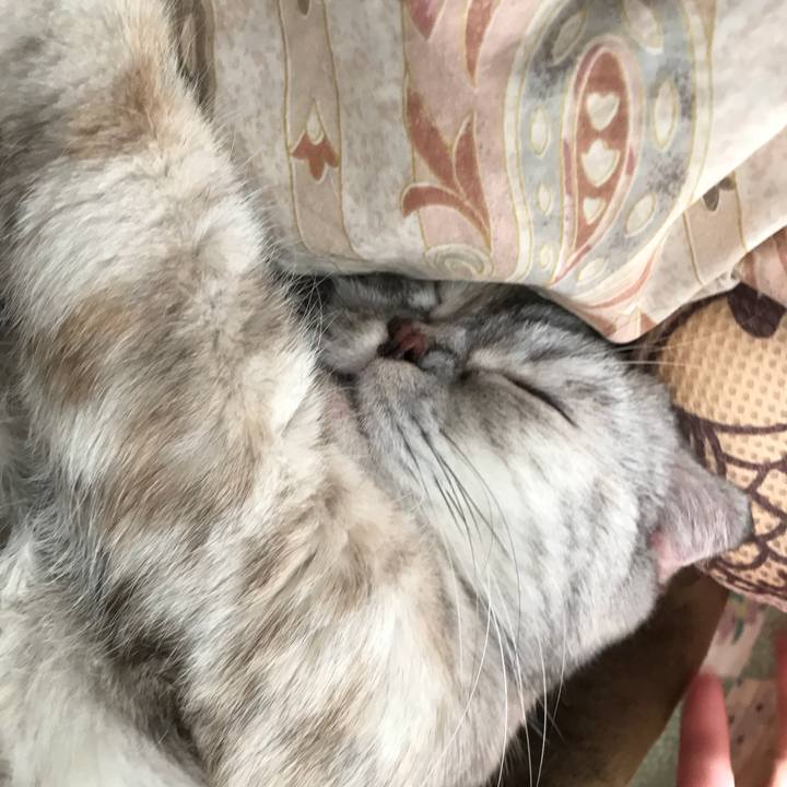 D152c648 a292 4d53 af24 bc950a0a0092 1519303086827