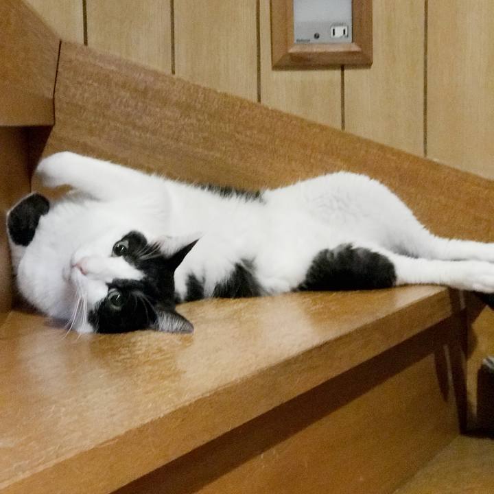 D152f400 7690 461f 8af5 cb46a8126b0b 1537110008224