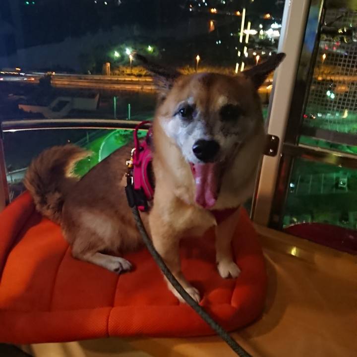 D153687c f056 44ae 9dc5 31be940f33b4 1537609776781