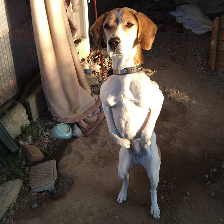 D1537b0f 1798 403d 881c bccbb1e17316 1645708999952