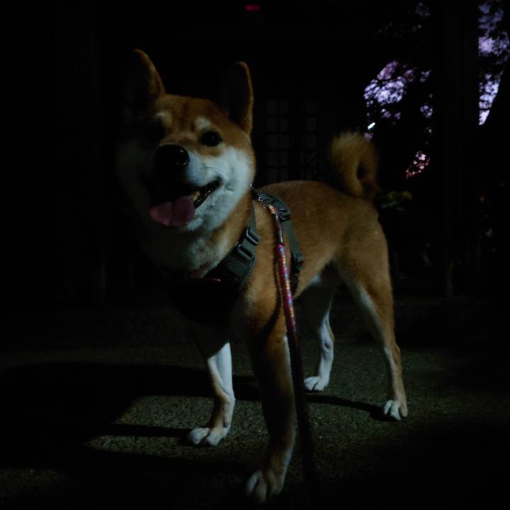 D1538c3c 50f2 4d25 9bed 237acb5eb0a5 1763717146238