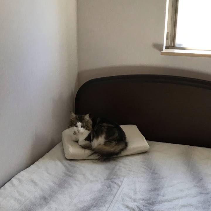 D153b432 40aa 497b aae3 4b21e5eea6f6 1640060855233