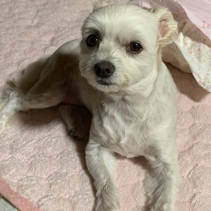 D1540121 91ee 4862 ba11 c86d111e46d6 1570358352582