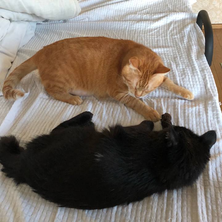 D1546586 702b 4167 a994 3decc069e15a 1633642925743