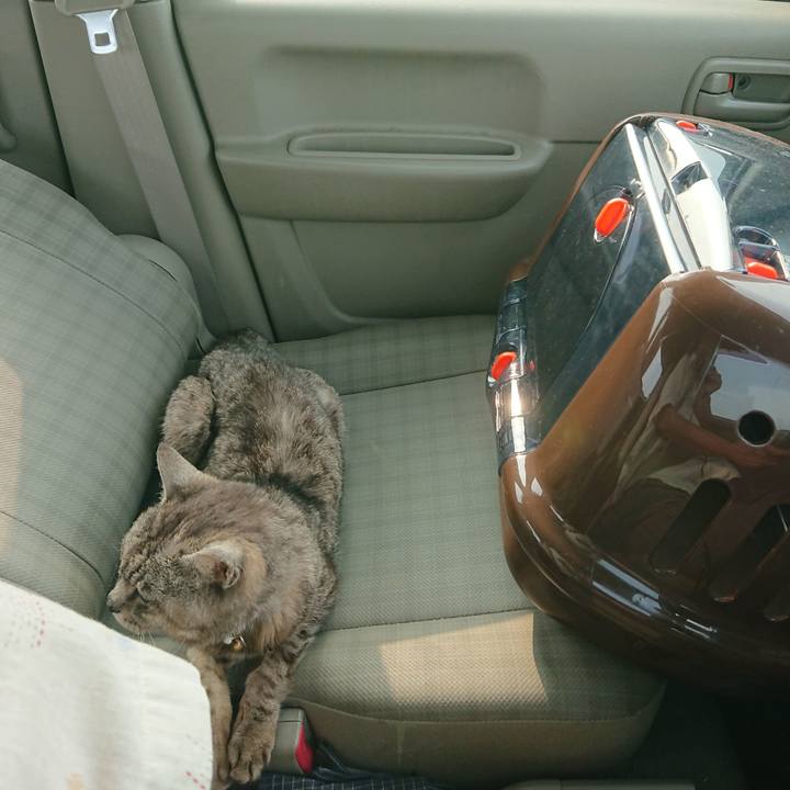 D154a386 cbba 4658 96a5 7ba99ab69bcb 1596702618652