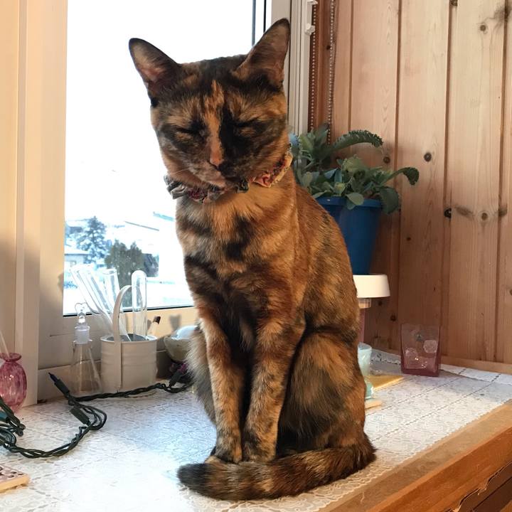 D154cf1e fc4e 43f7 b782 9e2e2b658057 1642628998824