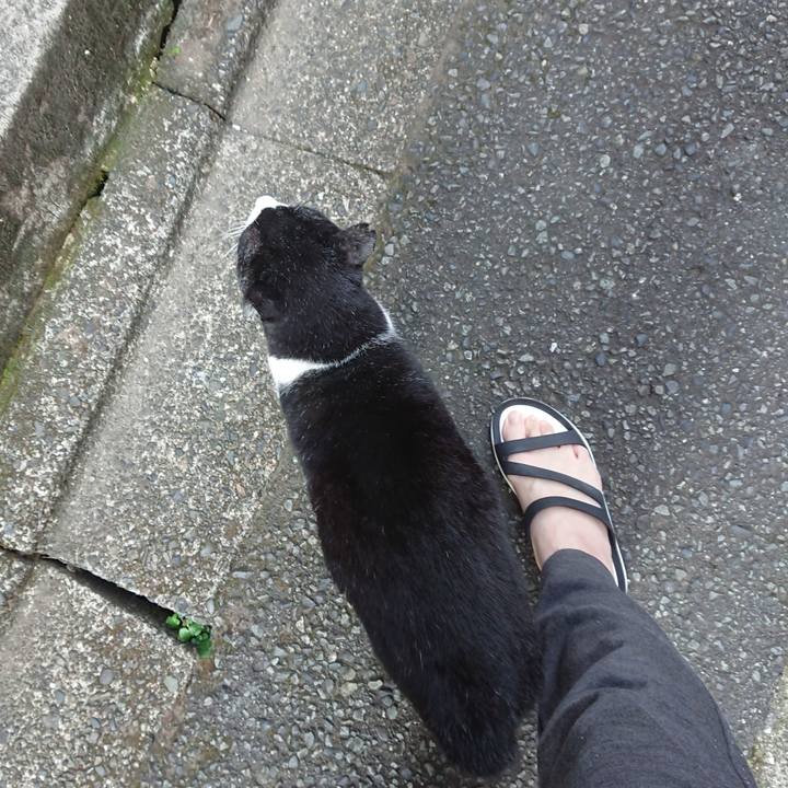 D154f5e2 3a7f 452d 869b 503c3ec4696f 1698449541091