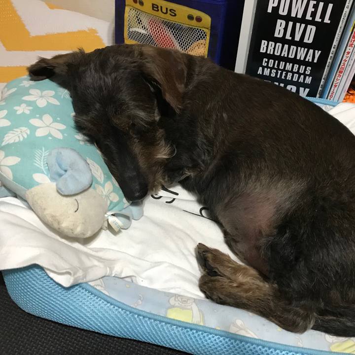 D15553df bd06 40e7 9f28 8772ce1a35ef 1527957247568