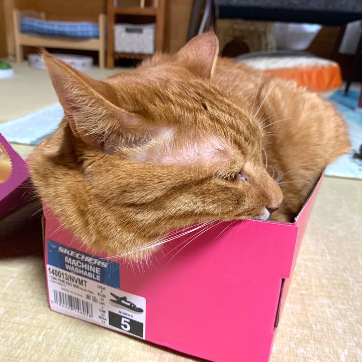 D15579d0 0c31 453a b09e 1c582c186c9a 1592213150322