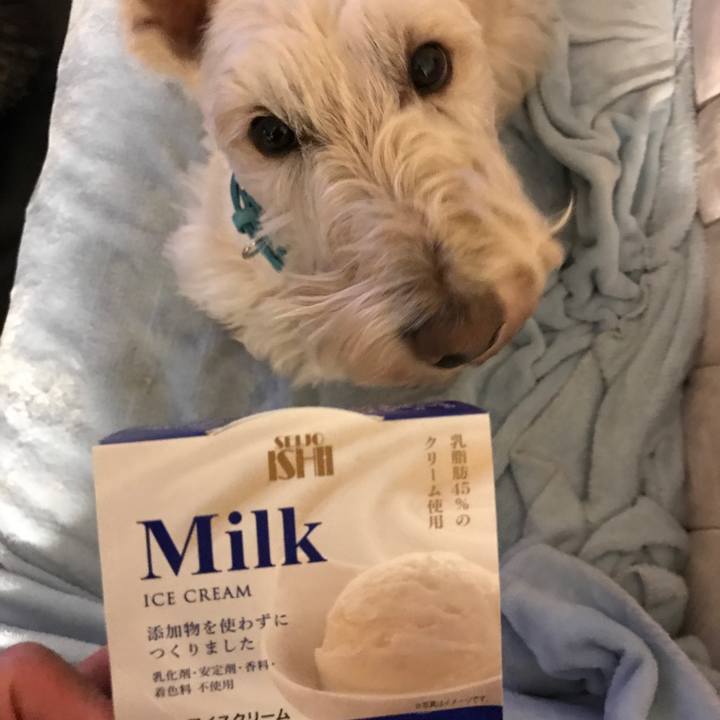 D155ab1b 4a4c 4203 90ea 11e9c8191f32 1549702850126