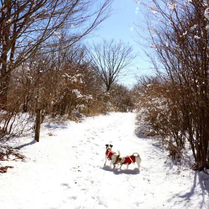 D155ab4b 23e3 4a38 bac9 631e93495834 1549108147892