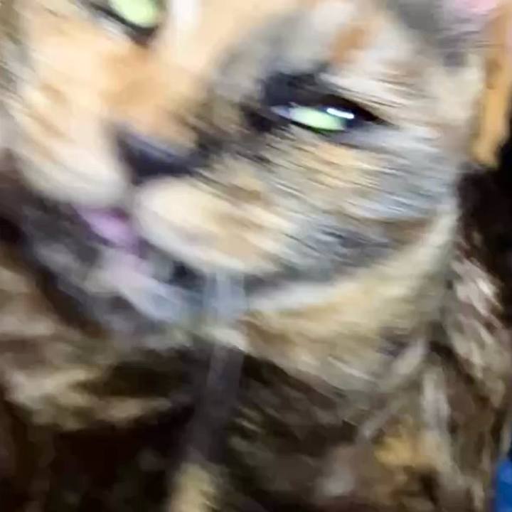 D155bd3d 7e68 4ec5 af54 ebcd3e1a9644 1743846908630