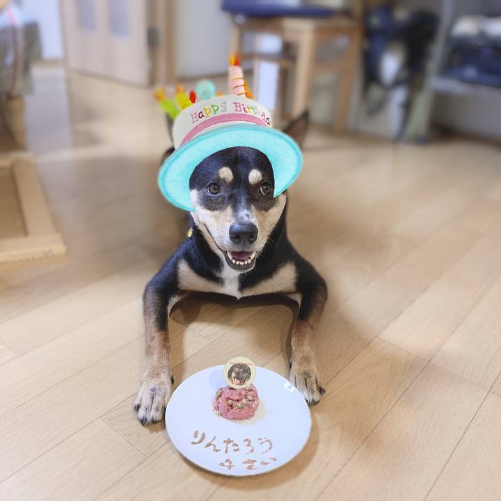 D155c42a 78ce 4181 a67a 766158bddc86 1562934574457