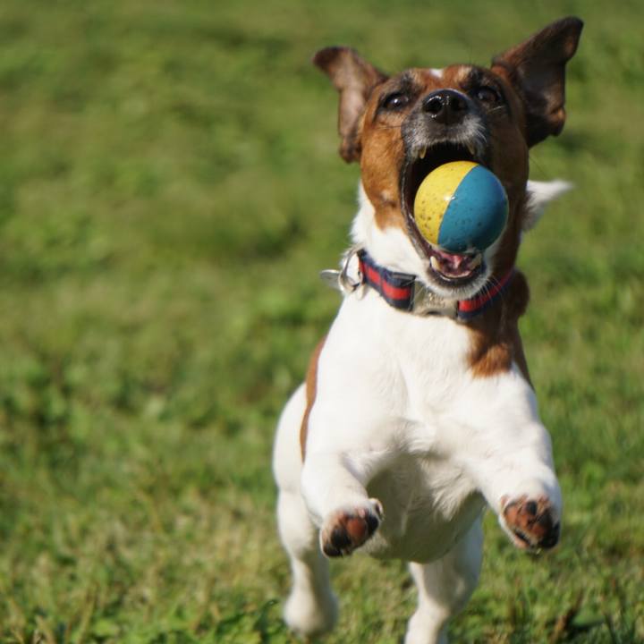 D155d23e 6997 47ec 8f75 6b578520e280 1526338792515