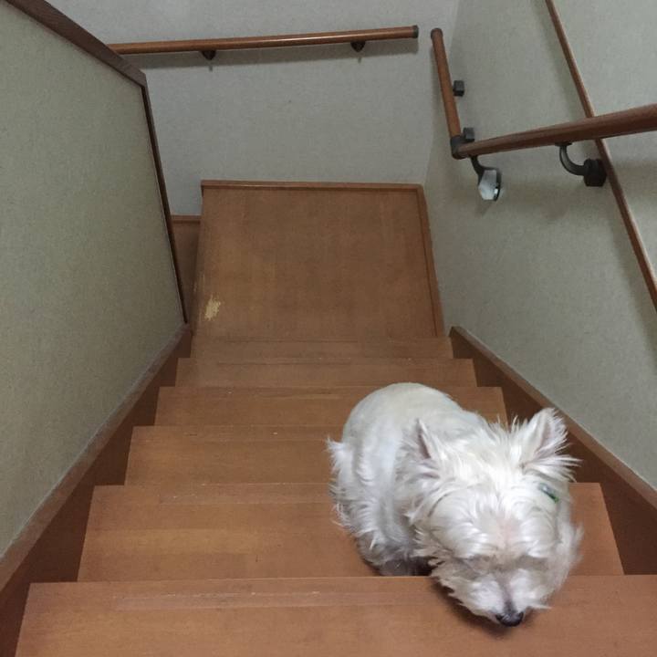 D155efc0 4c05 495f a262 45879f19d3f6 1526039320077