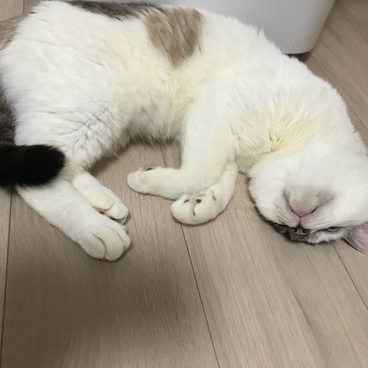 D155f807 0b1d 4b5e 8913 3c3f20c9578c 1521763881844