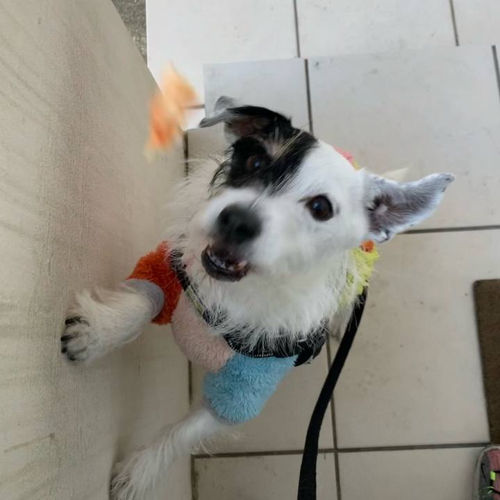 D1560b98 bd71 4c2b b69a 2676cfb5a957 1734826097476