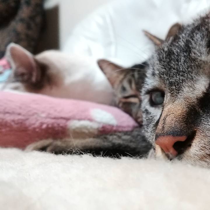 D1562813 6be7 4d74 9ccf 457cdb16c086 1545397177376