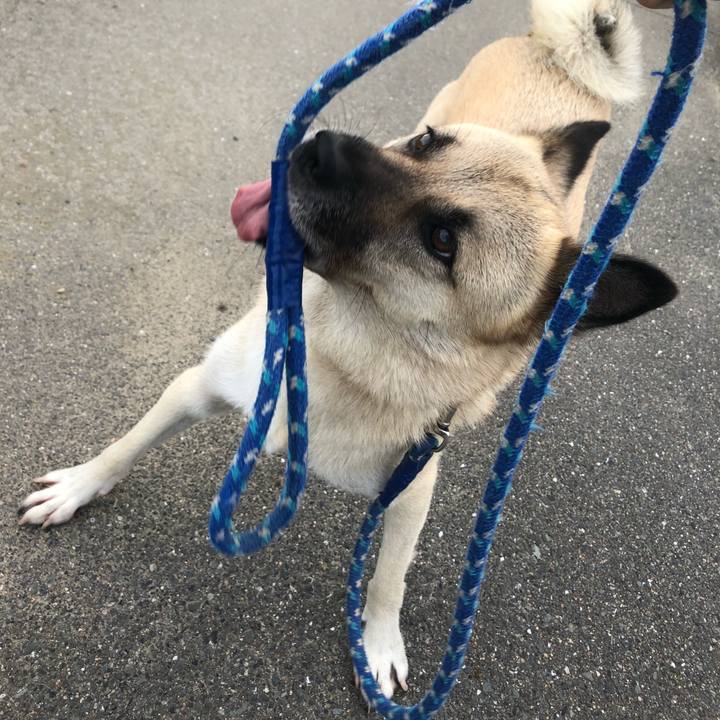 D1568321 b6e3 4df9 b339 b7d1bb398a5e 1600086753635