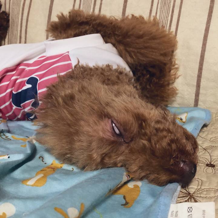 D1568c3e 6df3 46d7 96e1 cfa6a6a64103 1560573545833